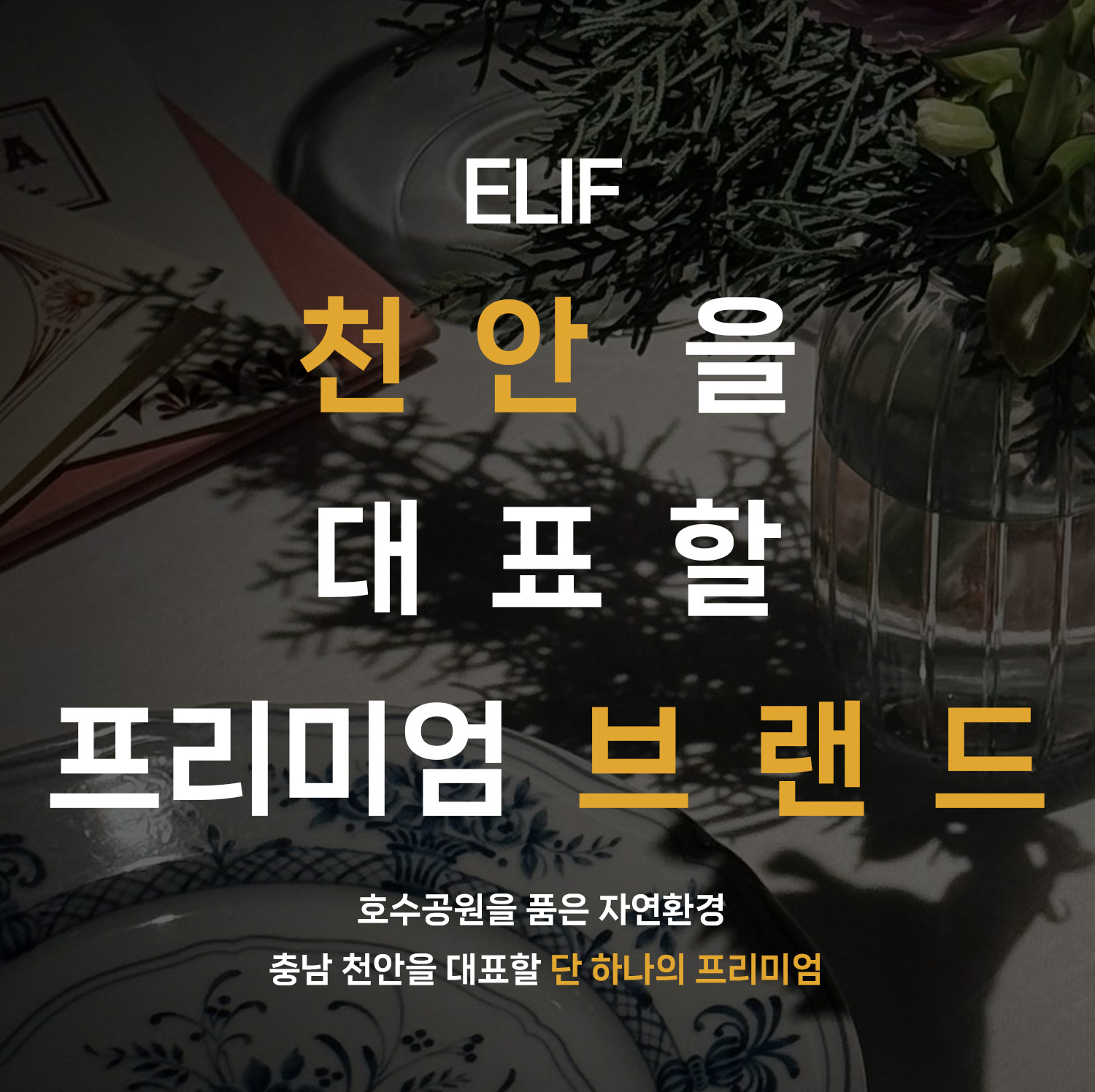 메인이미지---모바일1